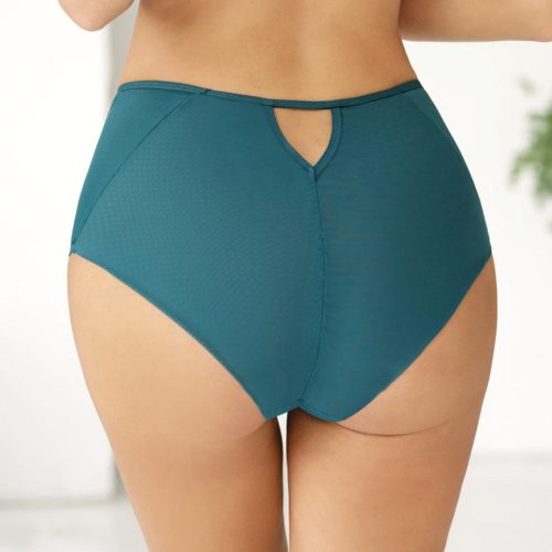 Sheer Mesh High Waist Panty Florence